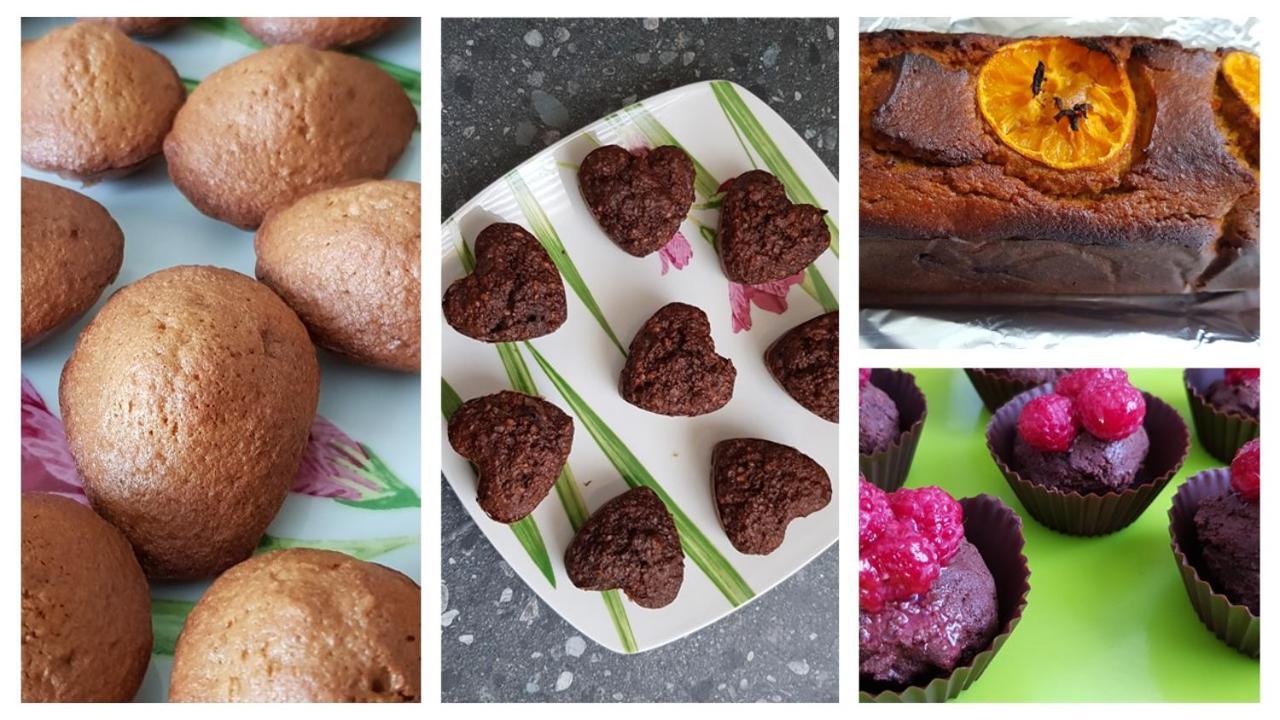 Béganne Belle Visnonia B&B Gluten Free & Traditional المظهر الخارجي الصورة