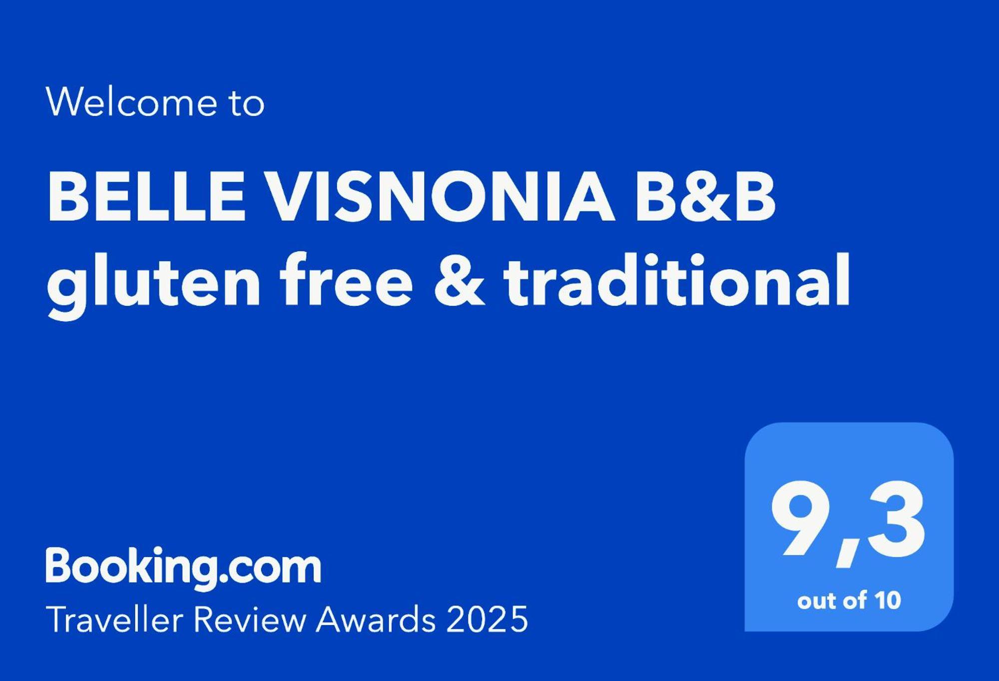 Béganne Belle Visnonia B&B Gluten Free & Traditional المظهر الخارجي الصورة